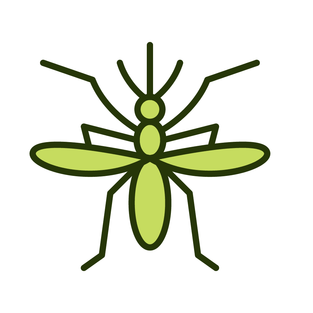 Mosquitos