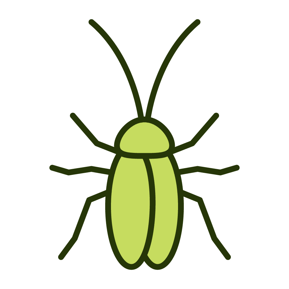 cockroaches
