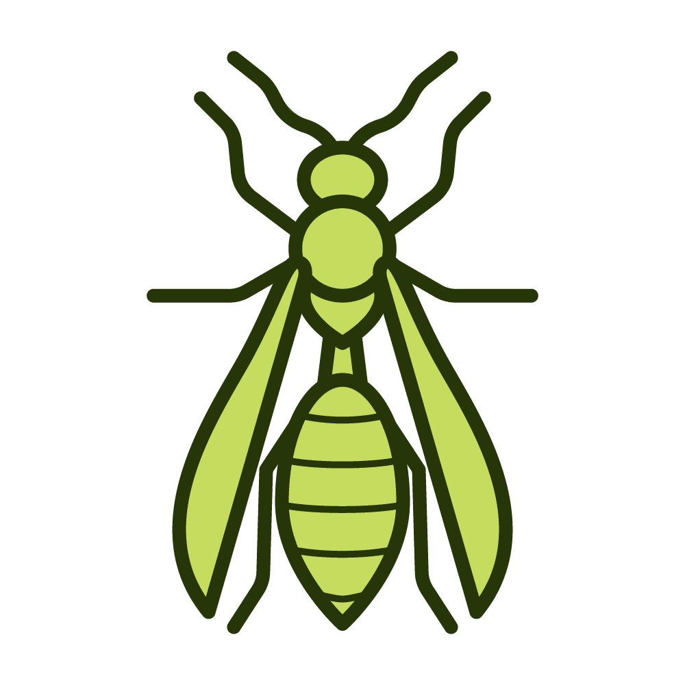 stinging insects